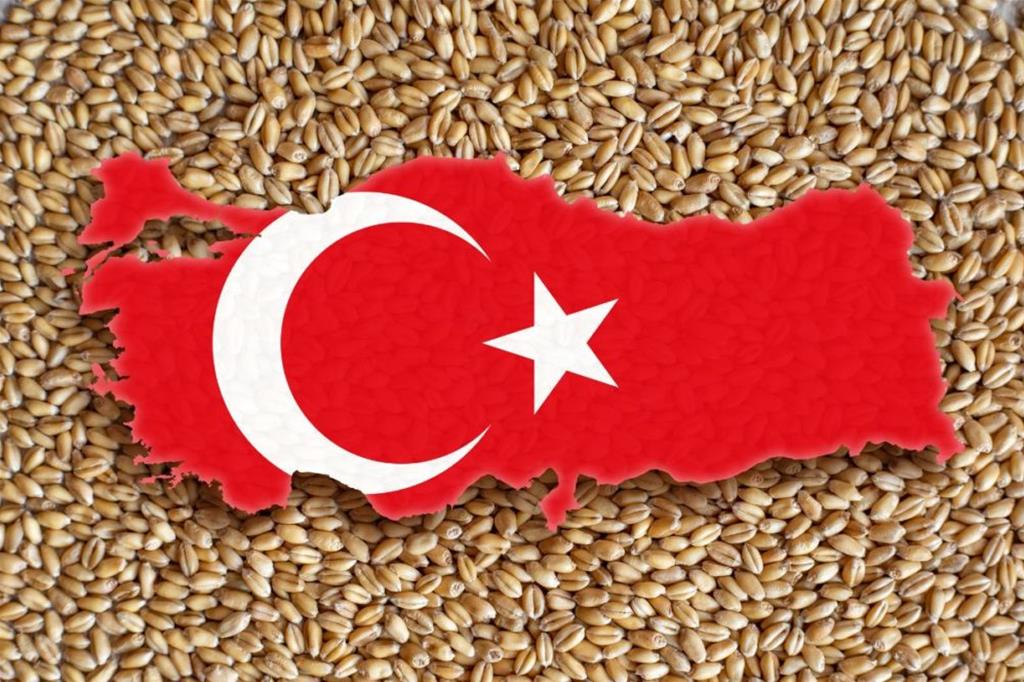 Türkiye'nin Tahıl İthalatının Azalması Bekleniyor